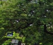 Сдать в аренду Квартиры вторичка улица Рылеева, 5   