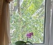 Продать Квартиры вторичка Красное Село, улица Спирина, 18   