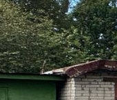 Продать Дачи, коттеджи, загородные дома Торики тер., улица Малая, 5   