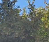 Продать Квартиры вторичка Тессинский переулок, 1   