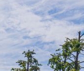 Продать Квартиры вторичка Подъездной переулок, 10   