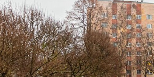 1-комн квартира Новочеркасский проспект, 10