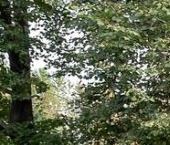 Продать Квартиры вторичка улица Гастелло, 7   