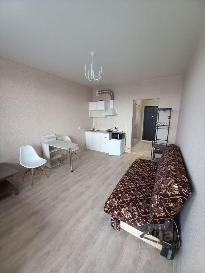 Аренда студии пос. Шушары, проспект Старорусский, 8к1