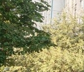 Продать Квартиры вторичка Батайский проезд, 17   