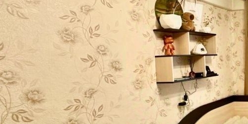 3-комн квартира проспект Ударников, 26