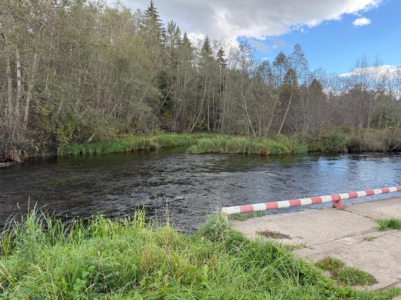 Продажа земли д. Грязно, улица Новый Поселок, 7