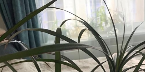 1-комн квартира улица Молостовых, 11К1