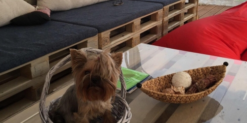 Земельный участок Всеволожск г, Центральная ул