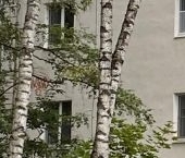 Продать Квартиры вторичка Звенигород, улица Чехова, 44   