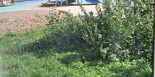 1-комн квартира проспект Средний Васильевского острова, 98