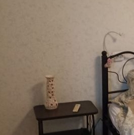 Аренда 2-комн квартиры на вторичном рынке проспект Просвещения, 78