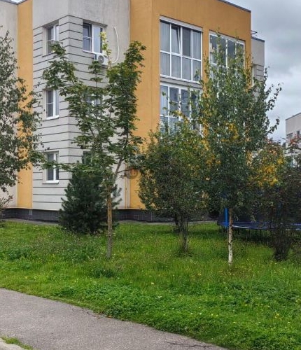 1-комн квартира д. Черная, улица Европейская, 1