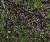 Продать Дачи, коттеджи, загородные дома пос. Неппово, 2   