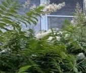 Продать Квартиры вторичка д. Тарасково, улица Комсомольская, 23   