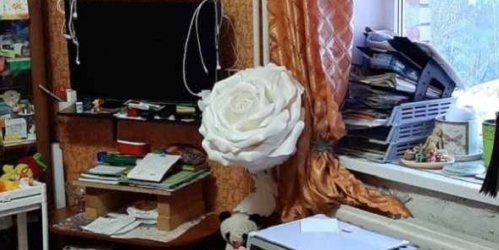 Комната Петергоф г., Чебышевская ул. ,  д. 14,  к. 1