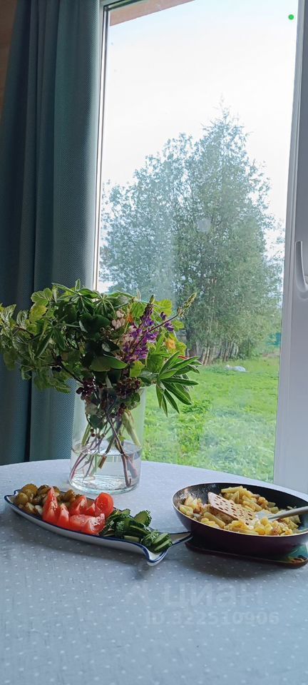 Продажа дома Тайцы садоводческий массив, Огонек СНТ,  д. 145