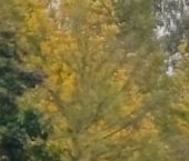 Продать Земельные участки, земля пос. Суйда, улица Ганнибала   