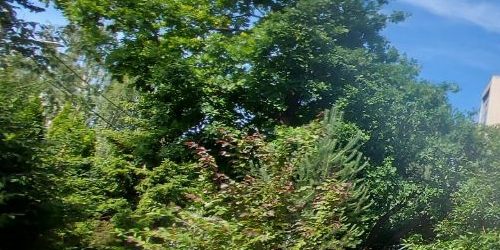 3-комн квартира пос. Стрельна, Нагорная улица, 23а