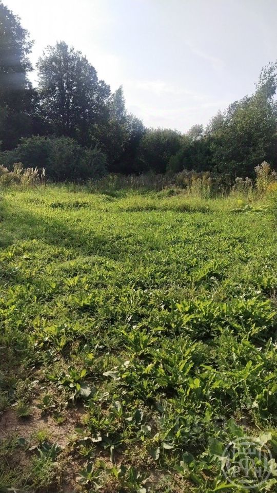 Продажа земли Лебяжье городской поселок, улица Дальняя, 3