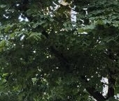 Продать Квартиры вторичка Шмитовский проезд, 13   