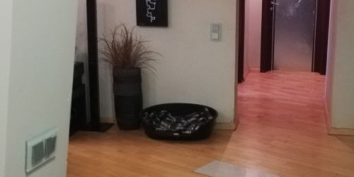 4-комн квартира улица Островитянова, 53