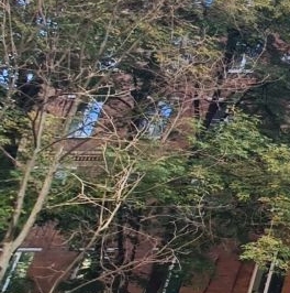 Продажа комнаты Энергетическая улица, 20