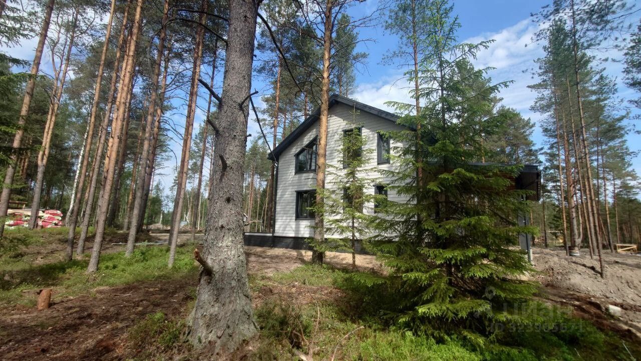 Продажа дома СОСН Раздолье тер., улица Лютиковая