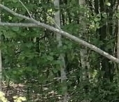 Продать Земельные участки, земля Северная тер., улица Карельская   