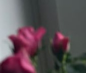 Продать Квартиры вторичка улица Ярослава Гашека, 12/100   