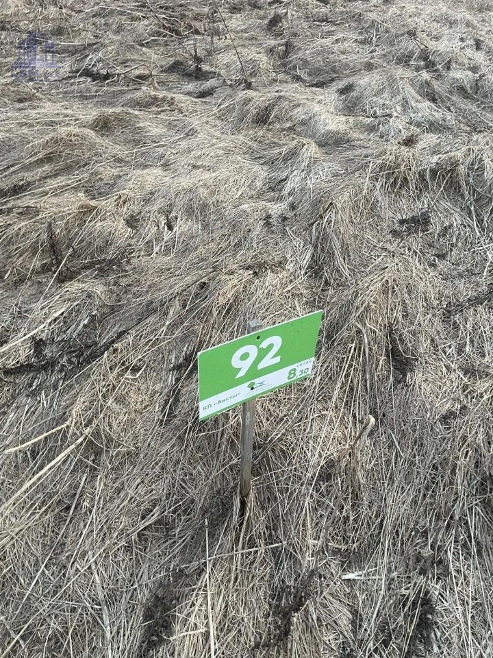 Продажа земли д. Еглизи, улица Царскосельская