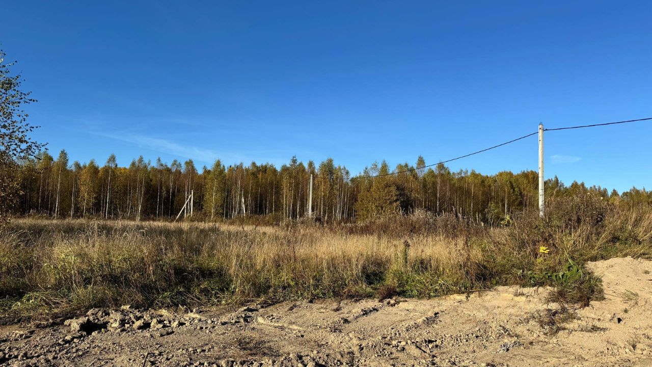 Продажа земли д. Турышкино, улица Новая