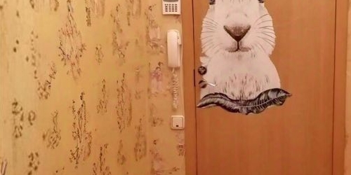 3-комн квартира Красное Село, Гвардейская улица, 19к3