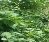 Продать Квартиры вторичка Хотьково, улица Михеенко, 20   