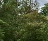 Продать Квартиры вторичка д. Жельцы, 1   