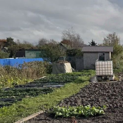 Коттедж/дом Коммунар г., улица Антропшинская, 235А