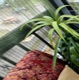 Продажа 2-комн квартиры на вторичном рынке Апрелевка, улица Ясная, 7