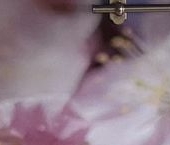 Продать Квартиры вторичка Мячковский бульвар, 8   