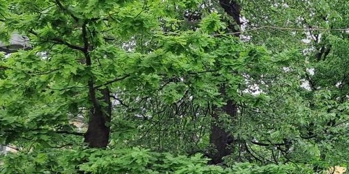 Комната улица Партизана Германа, 38