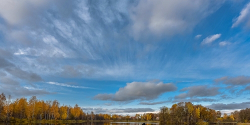 Земельный участок Парголово п, Горная ул ,  д. 5