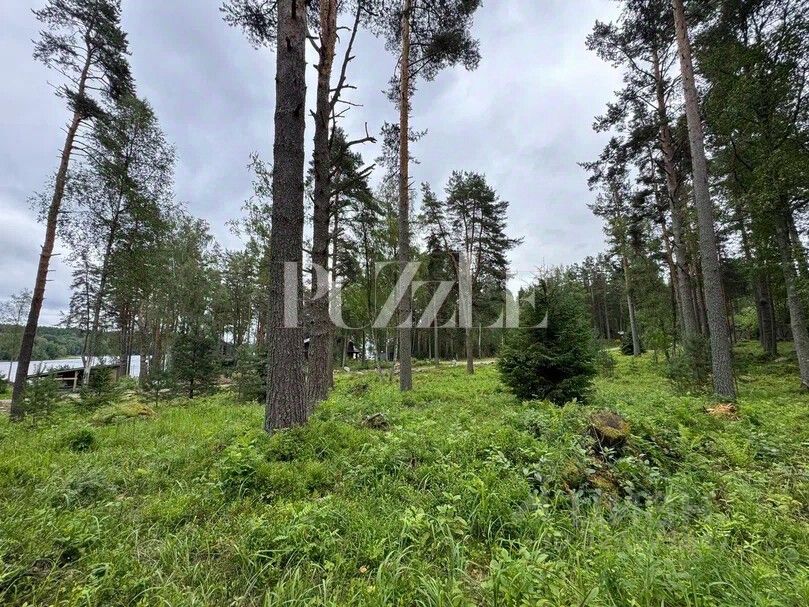 Продажа земли Мишкин лес кп, пос. Гречухино