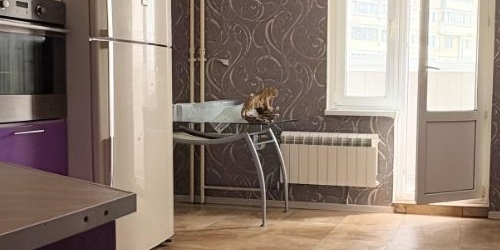 2-комн квартира проспект Наставников, 47К1