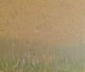 Продать Квартиры вторичка Кудрово г., улица Ленинградская, 9/8   