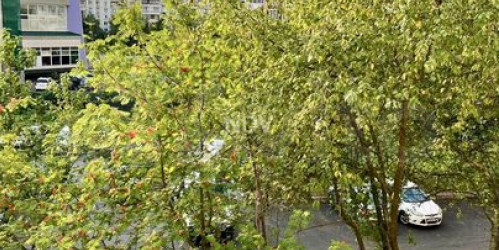 Комната ул Новокосинская,  д. 24,  к. 2