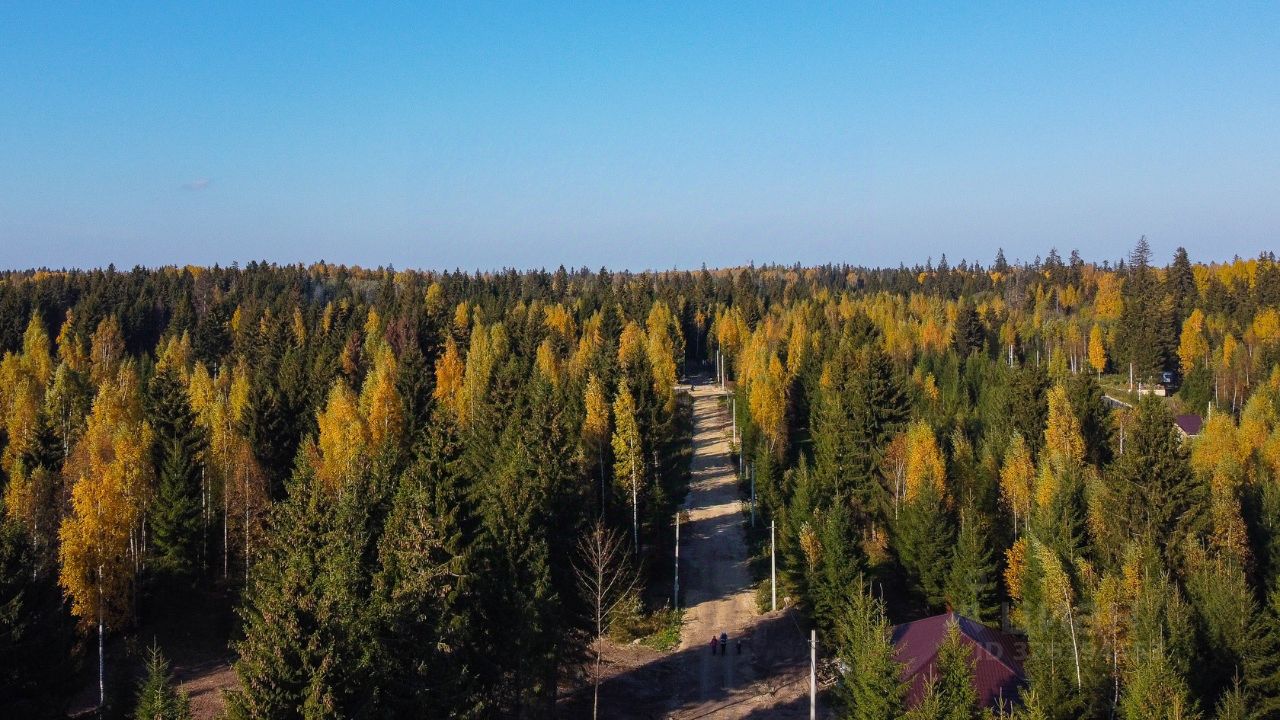 Продажа земли д. Черемыкино, улица Лесогорская