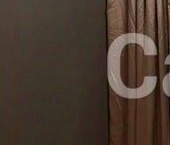 Сдать в аренду Квартиры вторичка проезд Березовой Рощи, 12   