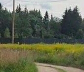 Продать Земельные участки, земля д. Куровицы, Вырицкий проспект   