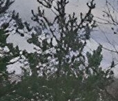 Продать Земельные участки, земля Проба СНТ, улица Березовая   