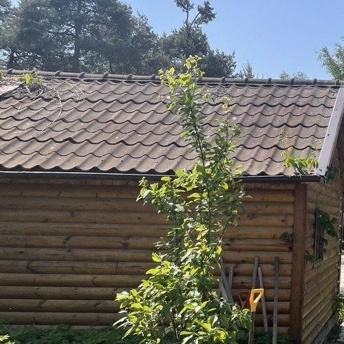 Коттедж/дом Любань, улица Карла Маркса