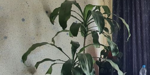 3-комн квартира проезд Черепановых, 68